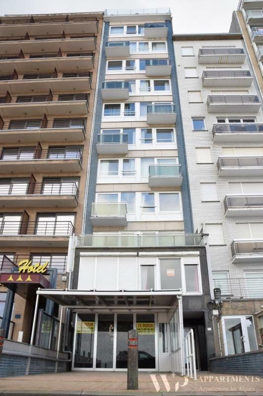 Residentie Les Algues 8Ste Verdieping بلانكنبرخ المظهر الخارجي الصورة